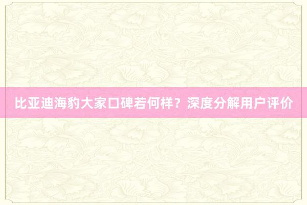 比亚迪海豹大家口碑若何样？深度分解用户评价