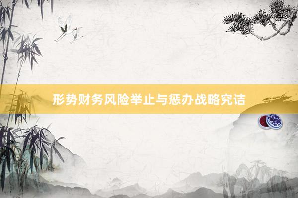 形势财务风险举止与惩办战略究诘