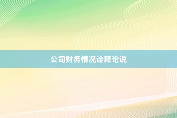 公司财务情况诠释论说