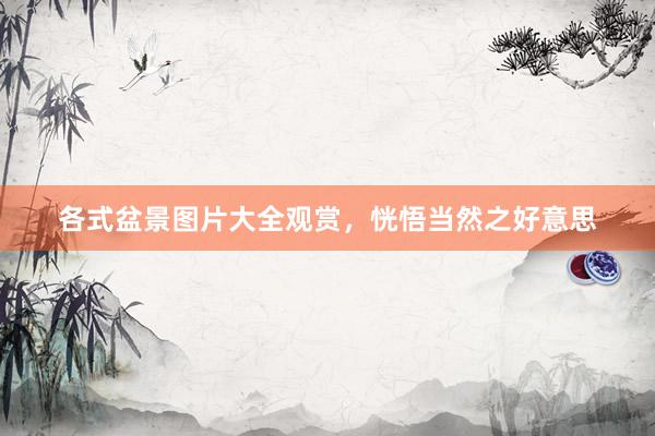 各式盆景图片大全观赏，恍悟当然之好意思